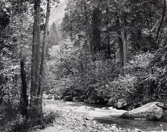 ANSEL ADAMS (1902-1984) Tenaya Creek, Dogwood, Rain, Yosemite National Park, California. 1948; printed after 1974 by Alan Ross.                  